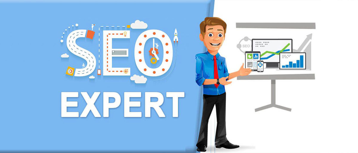 explanation of seo expert